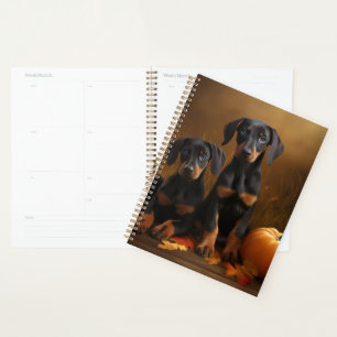 Chiots Dobermann Délice d'Automne Citrouille