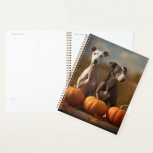 Chiots Greyhound Délice d'Automne Citrouille