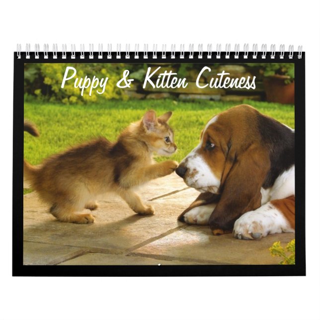 Chiots mignons et chatons Calendrier 2018 (Protection)