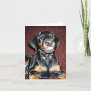 Chiots Pinscher Dobermann souriant - Carte de vœux