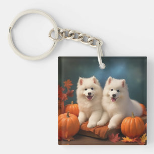 Chiots Samoyède Délice d'Automne Citrouille