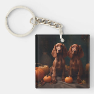 Chiots Setter Rouge Irlandais Délice d'Automne Cit