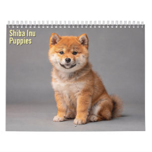 Chiots Shiba Inu Calendrier 2027