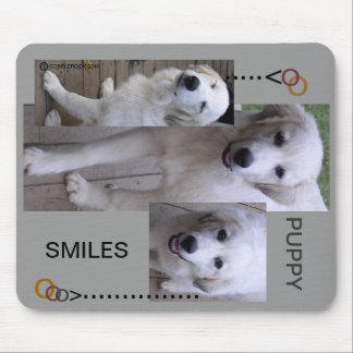 Chiots sur un tapis de souris