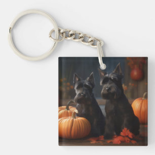 Chiots Terrier Ecossais Délice d'Automne Citrouill