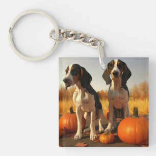 Chiots Treeing Walker Coonhound Citrouille d'Autom