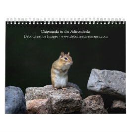 Chipkarten in den Adirondacks 2026 Kalender