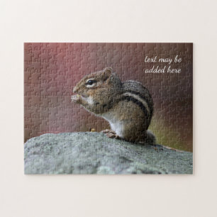 Chipmunk