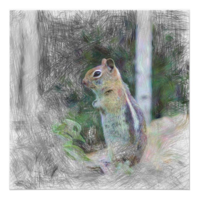 Chipmunk 1 fotodruck (Vorne)