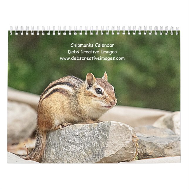 Chipmunk 2026 kalender (Titelbild)
