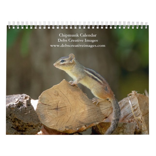 Chipmunk 2026 kalender (Titelbild)