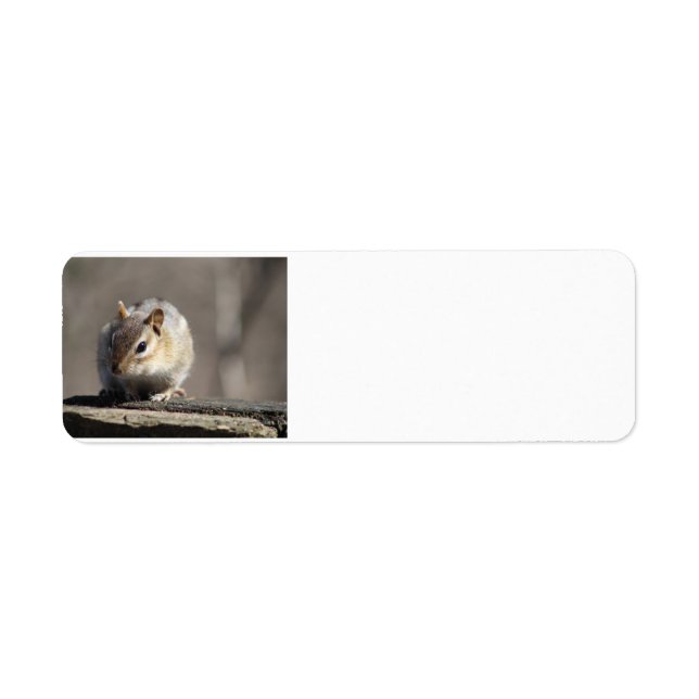 Chipmunk-Adressetikett (Vorne)