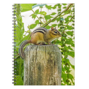 Chipmunk an einem Zaun Notizblock