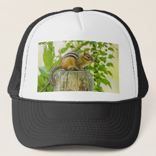 Chipmunk an einem Zaun Truckerkappe