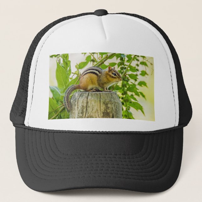 Chipmunk an einem Zaun Truckerkappe (Vorderseite)