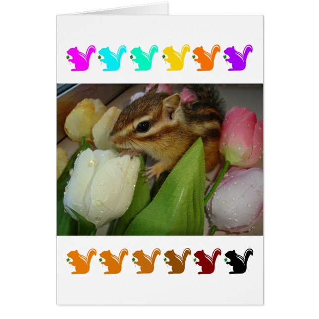 Chipmunk and flower (pohto)　type-5 (Vorne)