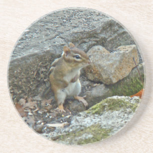 Chipmunk auf Rock Items Getränkeuntersetzer