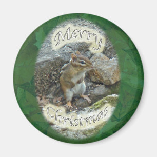 Chipmunk auf Rock Items Magnet