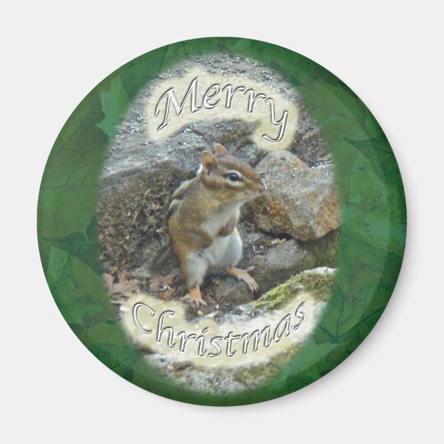 Chipmunk auf Rock Items Magnet (Vorne)