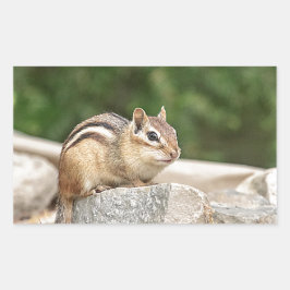 Chipmunk auf Stein Rechteckiger Aufkleber