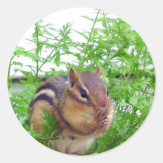 Chipmunk-Aufkleber Runder Aufkleber