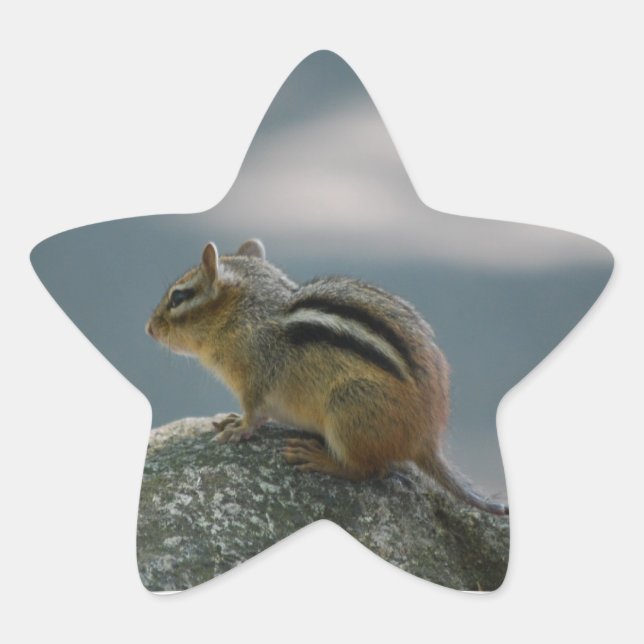 Chipmunk-Aufkleber Stern-Aufkleber (Vorderseite)