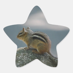 Chipmunk-Aufkleber Stern-Aufkleber