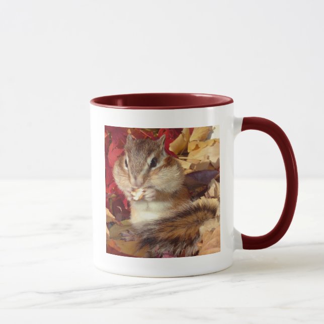 Chipmunk , Autumn (9)　photo Tasse (Rechts)