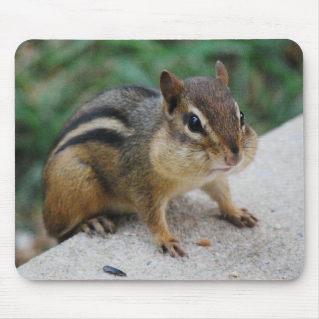 Chipmunk-Backen Mousepad (Vorne)