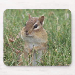 Chipmunk Cheeks Mouse Pad Mousepad