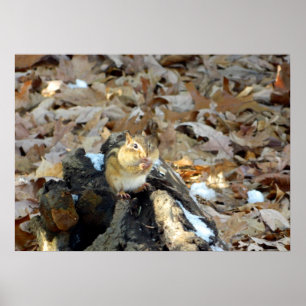 Chipmunk Cheeks Nature Poster