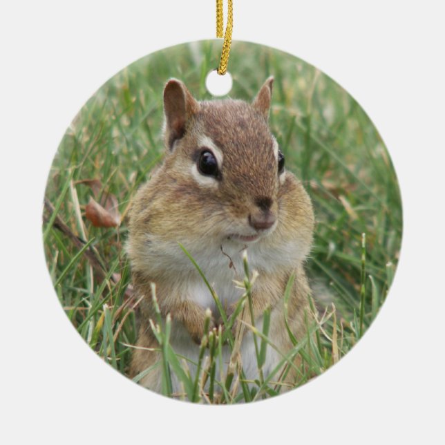 Chipmunk Cheeks Ornament (Vorne)