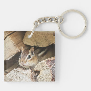 Chipmunk dans une pile de bois