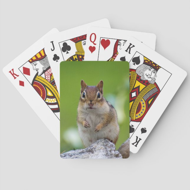 Chipmunk, der auf einem Felsen sitzt Spielkarten (Rückseite)