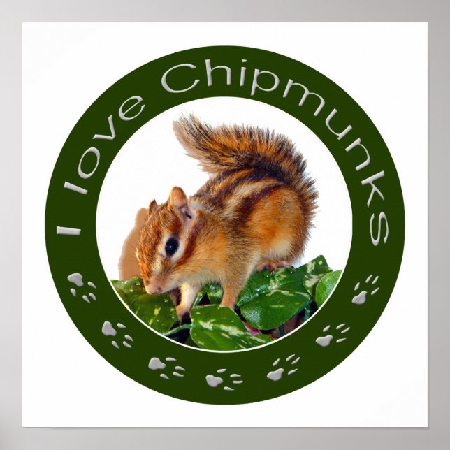 Chipmunk-Foto Poster (Vorne)