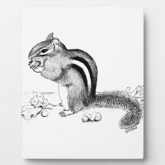 Chipmunk Fotoplatte (Vorderseite)