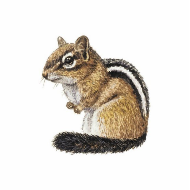 Chipmunk Fotoskulptur Ornament (Vorne)