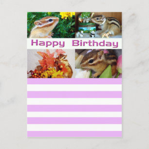 Chipmunk , Geburtstag , Urlaub , Weihnachten , Wei