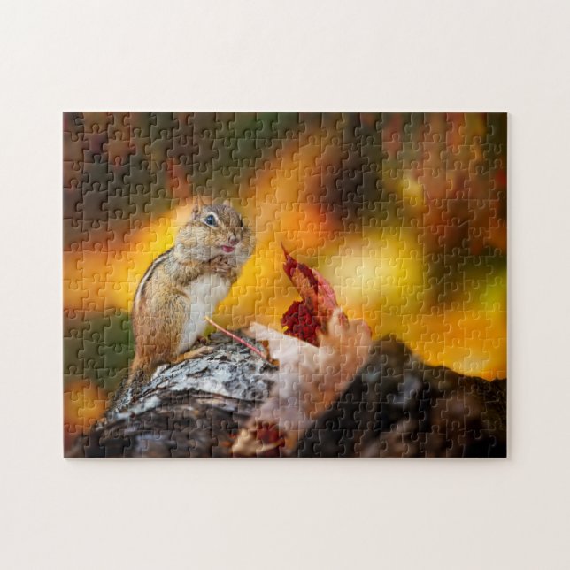 Chipmunk Herbst Essen für den langen Winter (Horizontal)