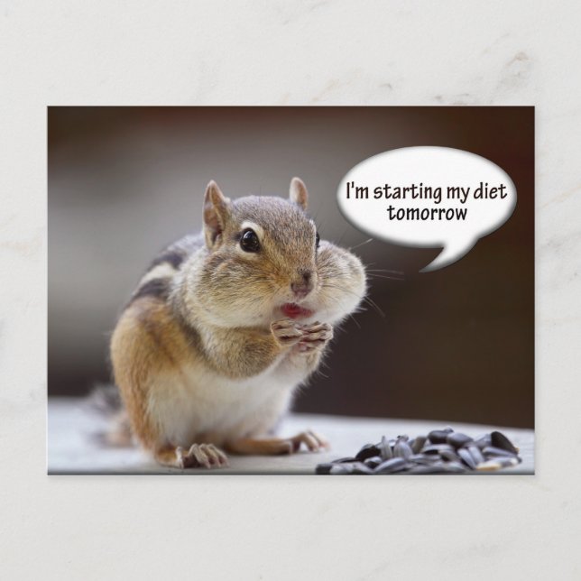 Chipmunk im Diet-Foto Postkarte (Vorderseite)