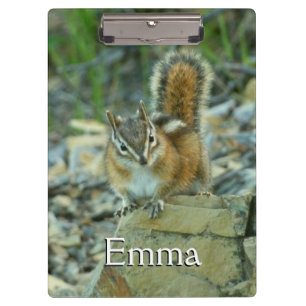 Chipmunk im Glacier-Nationalpark Klemmbrett