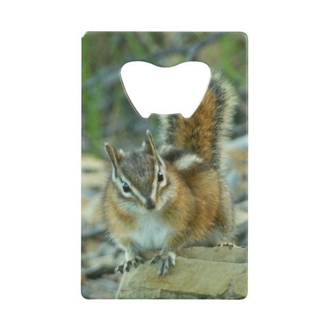 Chipmunk im Glacier-Nationalpark Kreditkartenflaschenöffner (Vorderseite)