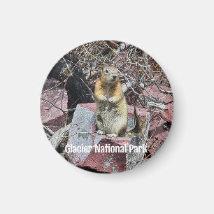 Chipmunk im Glacier-Nationalpark Magnet