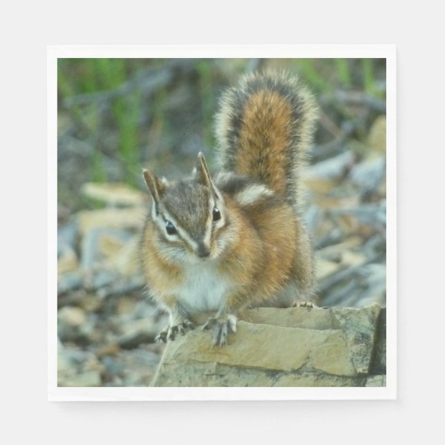 Chipmunk im Glacier-Nationalpark Serviette (Vorderseite)