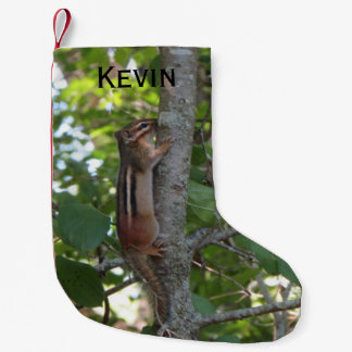 Chipmunk im Holz Kleiner Weihnachtsstrumpf