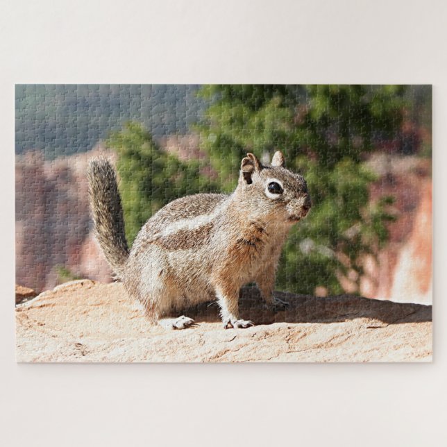 Chipmunk in Bryce Canyon (Horizontal)