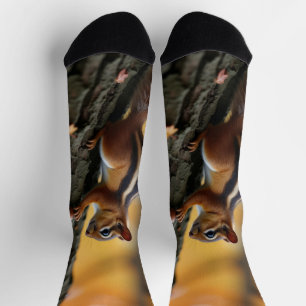 Chipmunk in einem Baum Socken