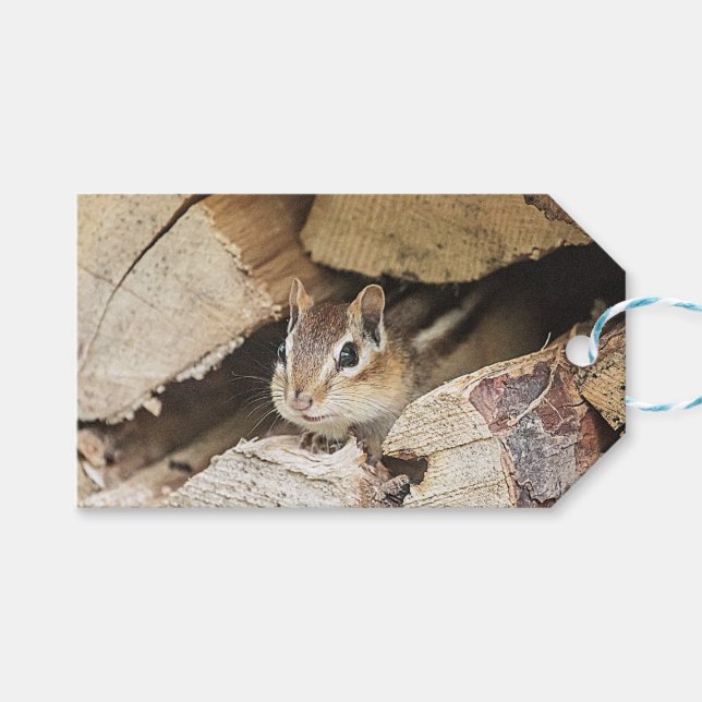 Chipmunk in einem Holzstapel Geschenkanhänger (Vorderseite (Horizontal))