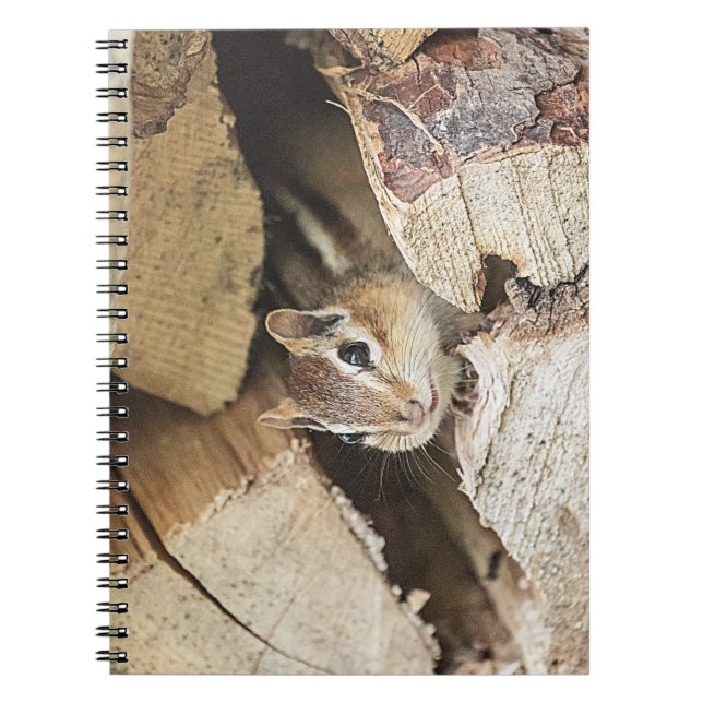 Chipmunk in einem Holzstapel Notizblock (Vorderseite)