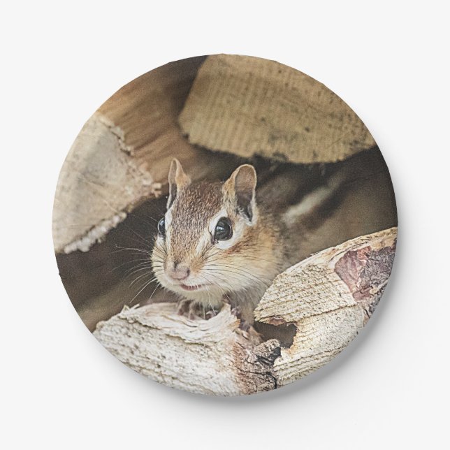 Chipmunk in einem Holzstapel Pappteller (Vorderseite)